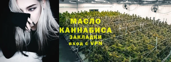 mix Богородицк