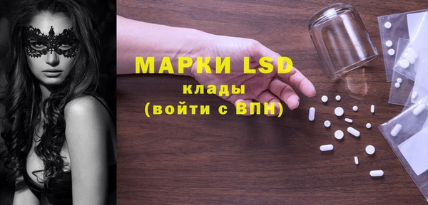 индика Кострома