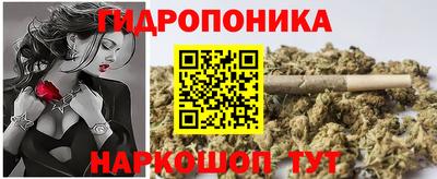 МДПВ Гусев