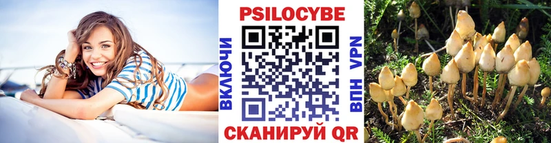 Псилоцибиновые грибы мицелий  цена   Уссурийск 